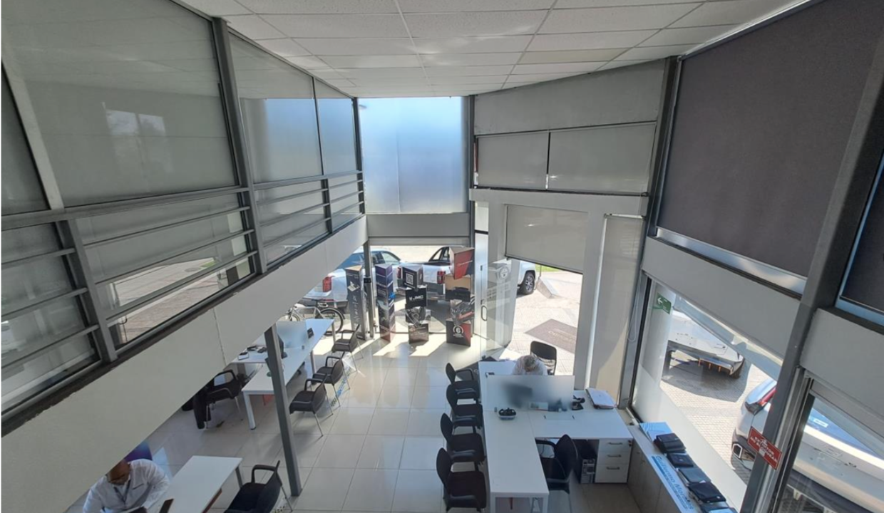 Captura de pantalla 2024-11-17 a la(s) 3.03.57 p. m.